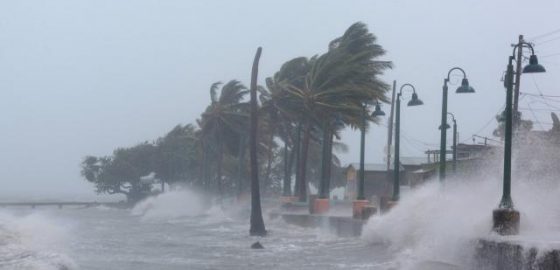 Expert d'assuré Irma Ouragan
